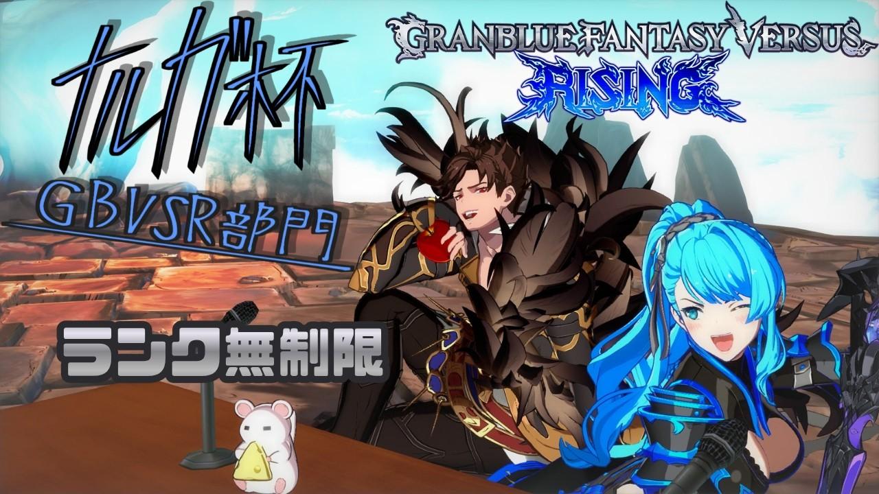 第0回ナルガ杯 GBVSR部門