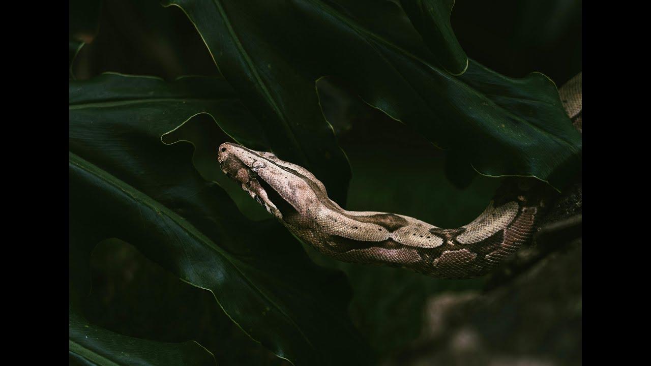 START!!#22 feat.あるあるさ/インクル/とろける/たけやん…and more!!