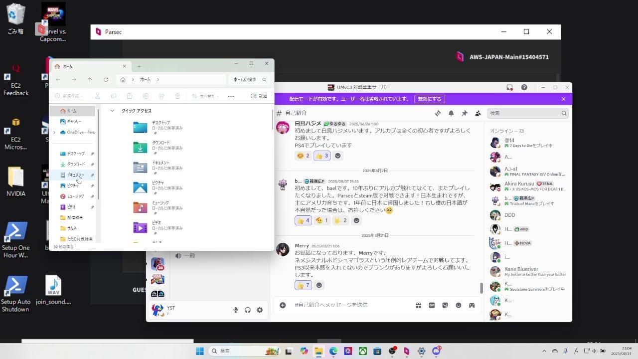 【Steam版】アルカプ初級者＆中級者大会　22時頃開始【PARSEC】