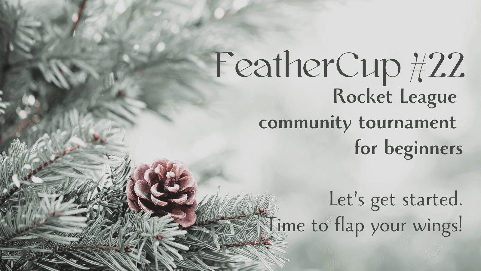 フェザーカップ#22