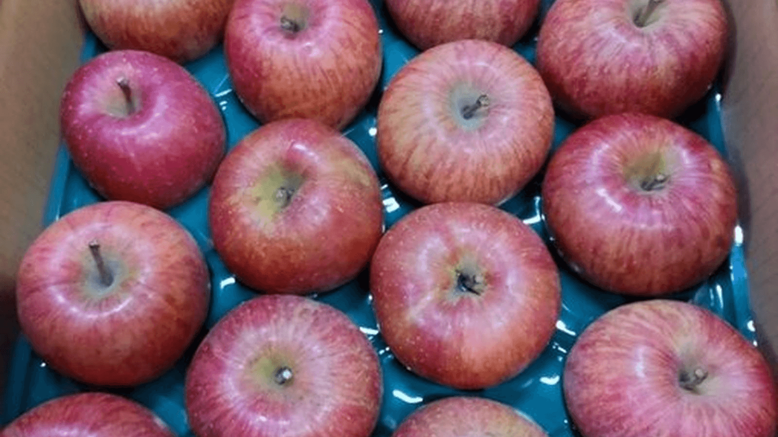 【スト6】リンゴ杯　2on2