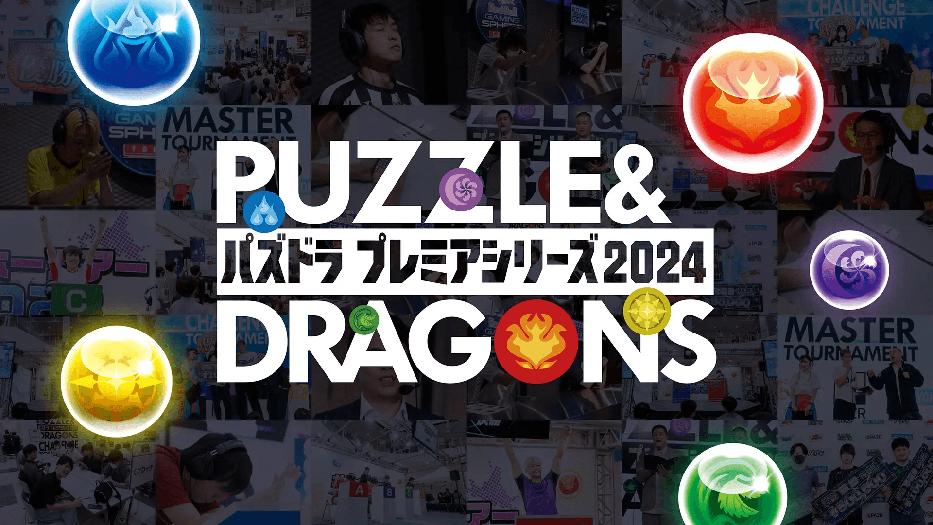 パズドラプレミアシリーズ2024の見出し画像