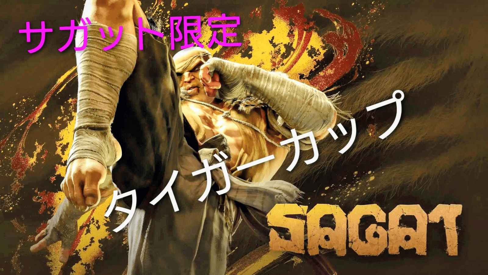 サガット限定タイガーカップ feature image