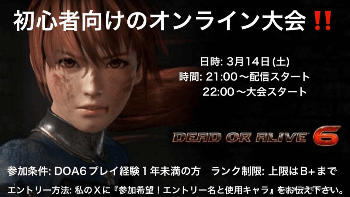 steam DOA6 初心者向けオンライン大会