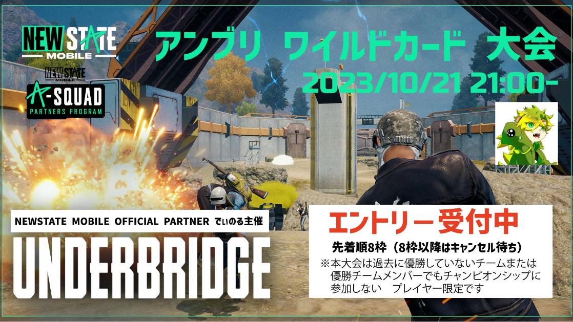 UNDERBRIDGE ワイルドカードトーナメント feature image