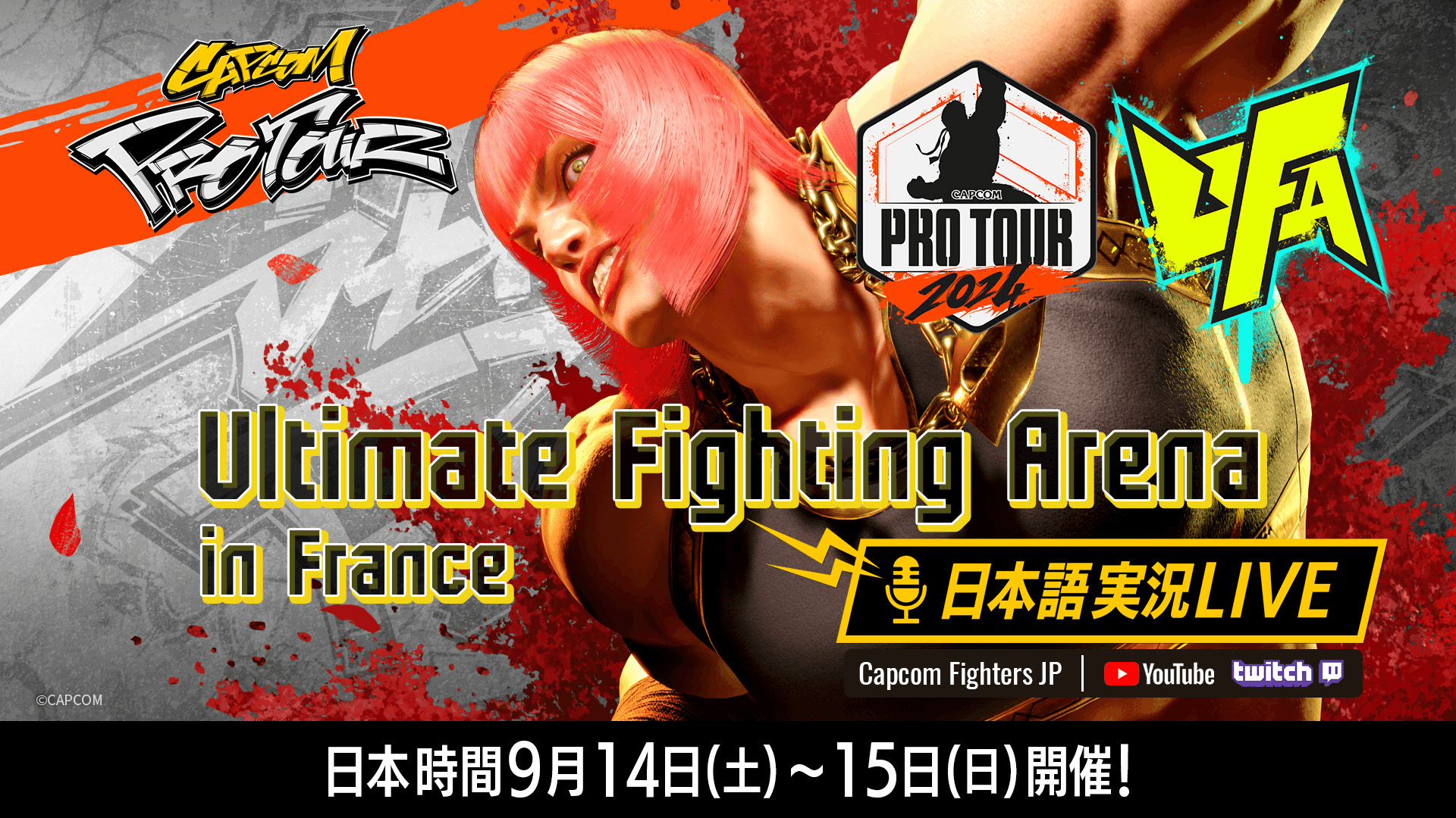 Ultimate Fighting Arena 2024 日本語実況LIVE配信の見出し画像