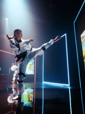Virtual Taekwondo