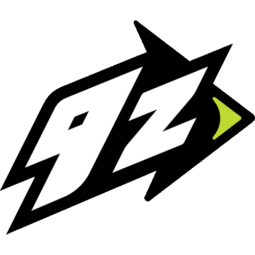 9z Teamのロゴタイプ