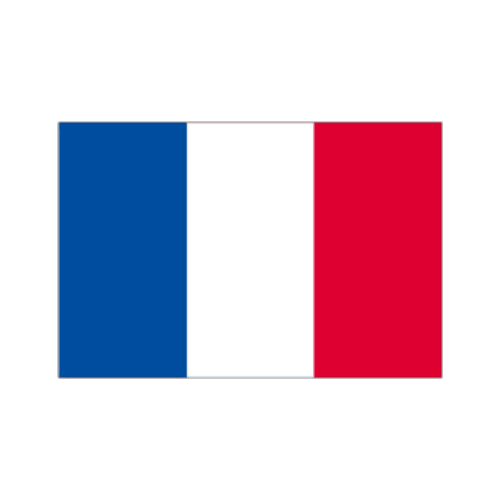フランスのロゴタイプ