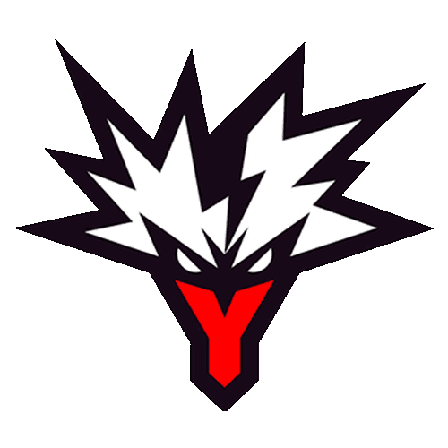 Team Yandex logo