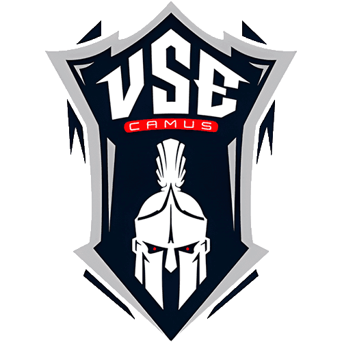 Visionsystem logo