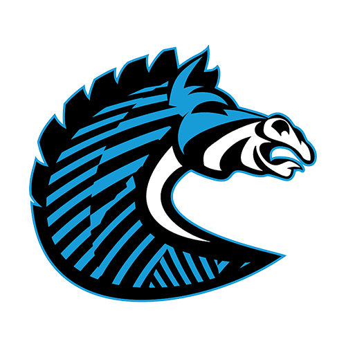 BS+COMPETITION logo