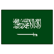 Saudi Arabia logo