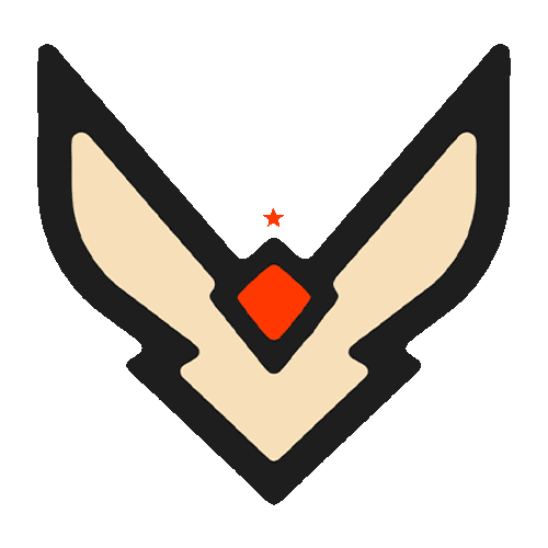 Team Vision logo