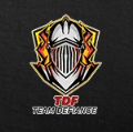 TEAM Defianceのロゴタイプ
