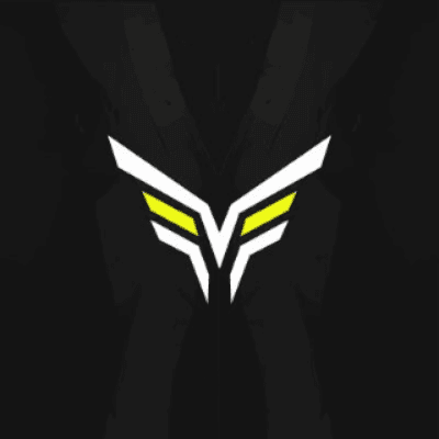 The Vicious Esportsのロゴタイプ