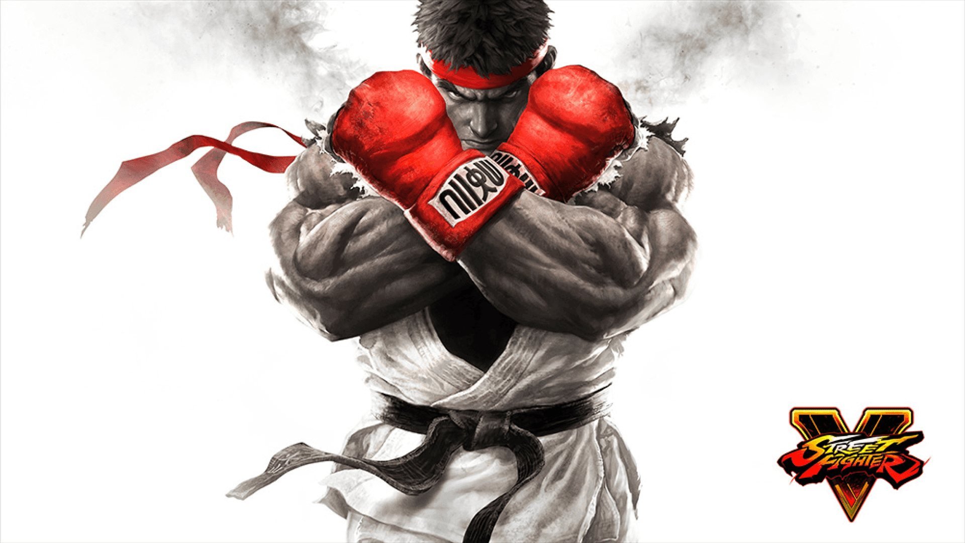 Street Fighter V feature image