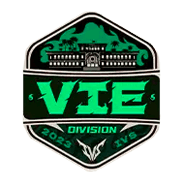 VIE logo