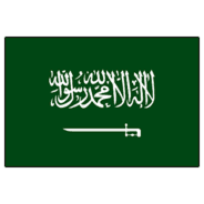 サウジアラビアのロゴタイプ