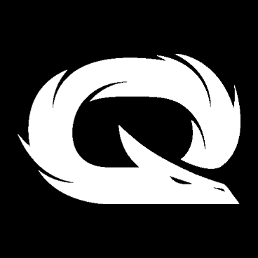 QLASH logo