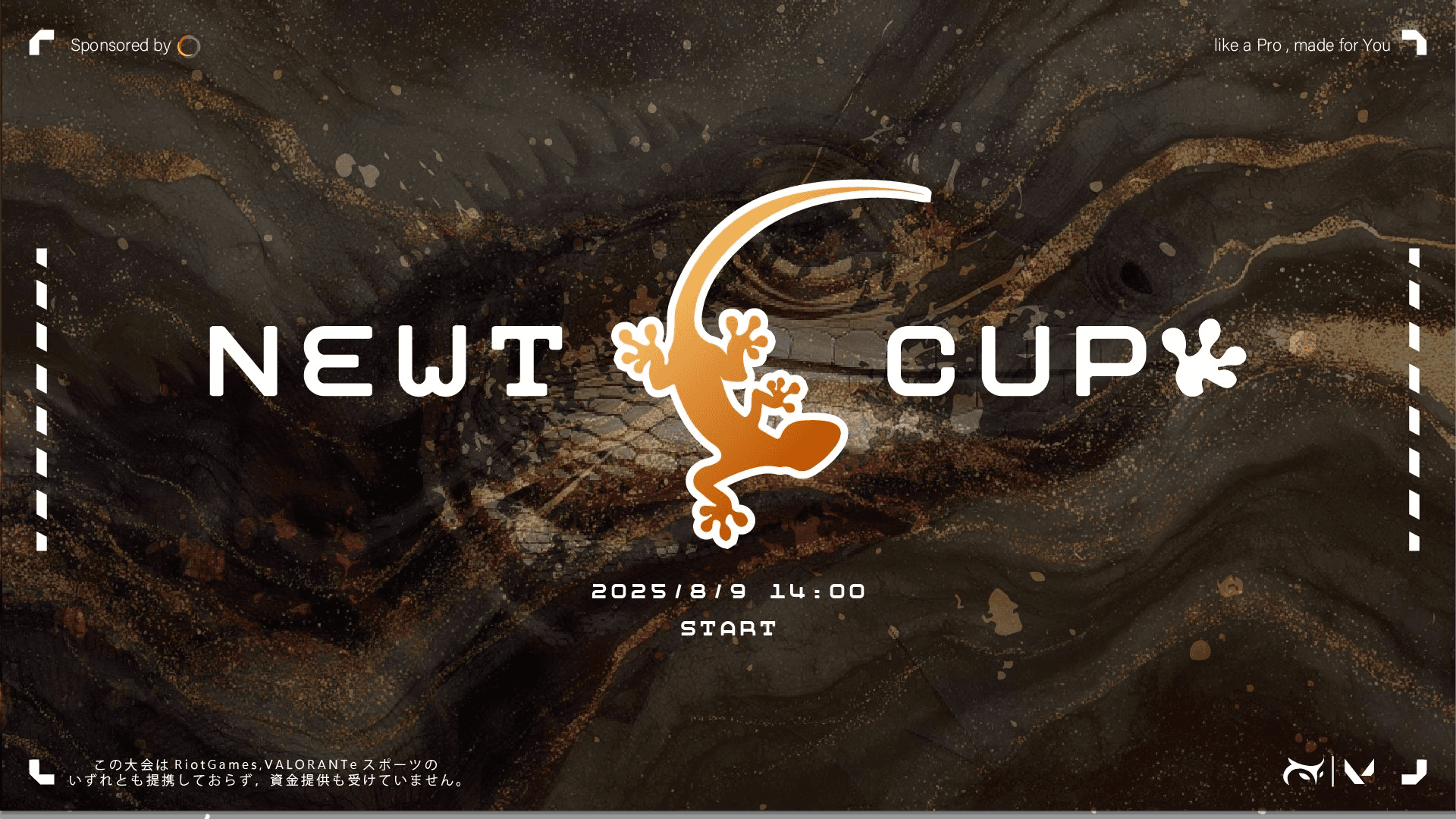 第2回Newt杯