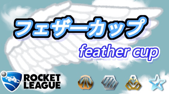 フェザーカップ #19