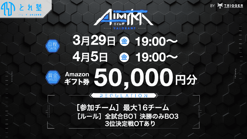 VALORANT AIM杯 Special Tournament