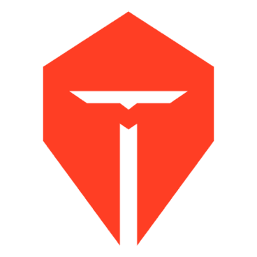 Top Esports logo
