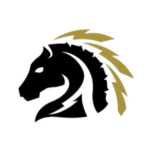 nq4TLdm5aa team logo image