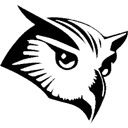 https://taiyoro-prod-media.s3.amazonaws.com/team_organization/4P6RUKZq5g.png-org-image