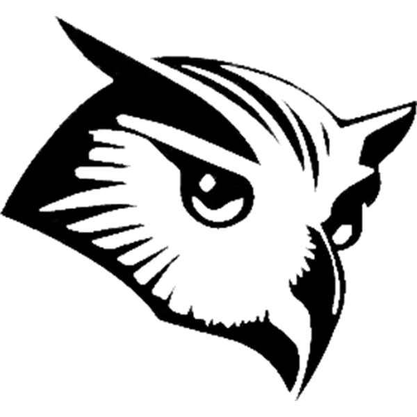 wB2T3Am08G organization background image