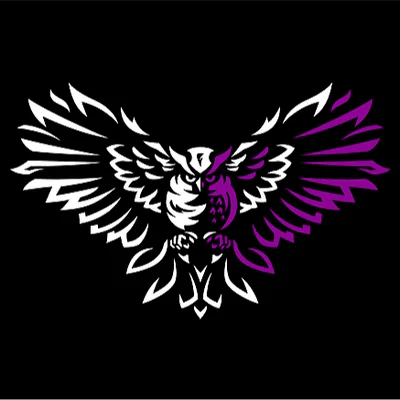 9bmnM6sRJA organization background image