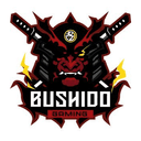 https://taiyoro-prod-media.s3.amazonaws.com/team_organization/ySnrdJ1x6O.png-org-image